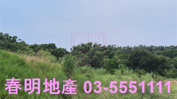 香山農地-4
