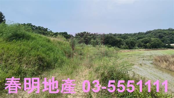 香山農地-5