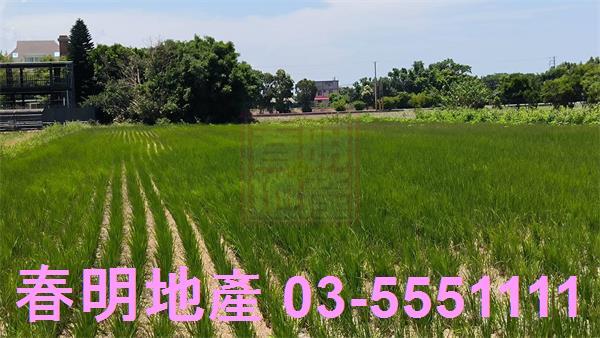 竹北農地-1