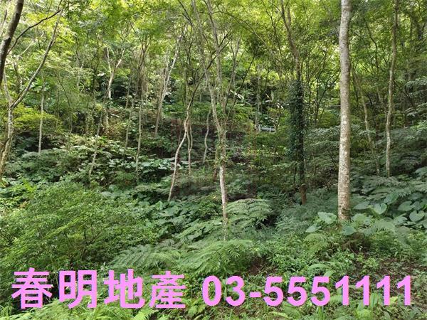 新竹橫山農地-10