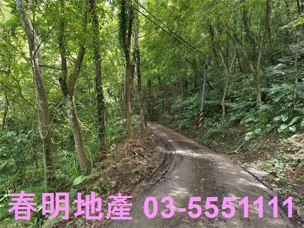 新竹橫山農地-11