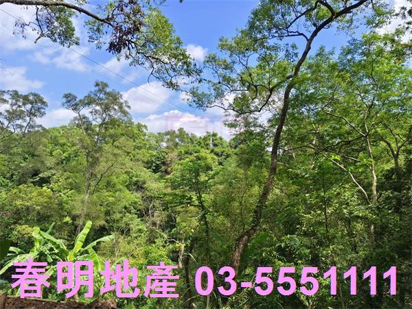 新竹橫山農地-14