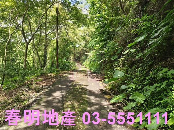 新竹橫山農地-6