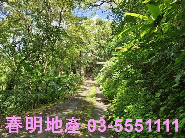 新竹橫山農地-7