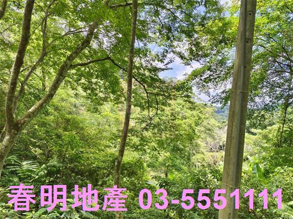 新竹橫山農地-8