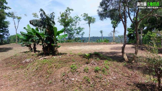 新竹北埔農地-6