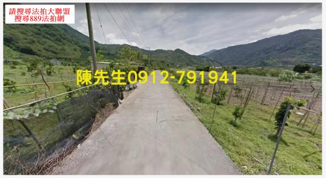泰安農地法拍-10