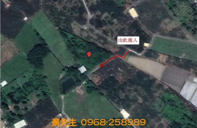 苗栗卓蘭農地法拍-15