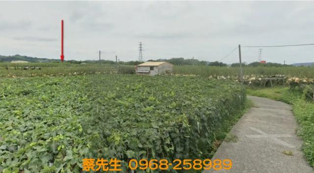 苗栗卓蘭農地法拍-2