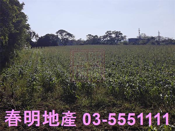 新竹新豐農地-4