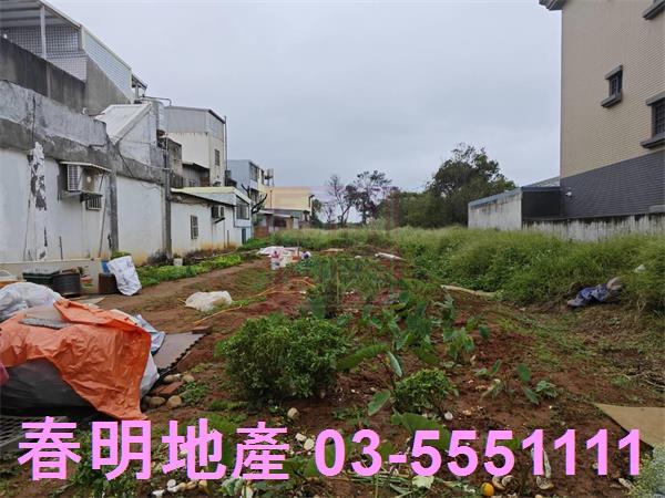 新竹新豐農地-5