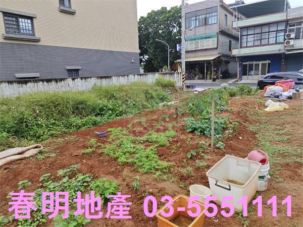 新竹新豐農地-7