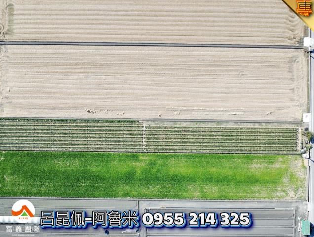 雲林西螺農地-2
