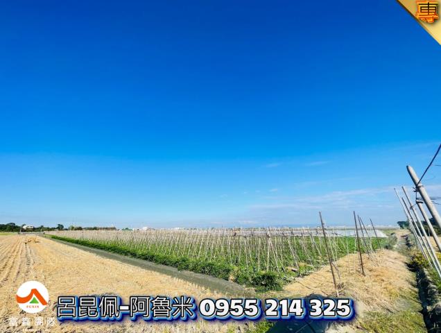 雲林西螺農地-6