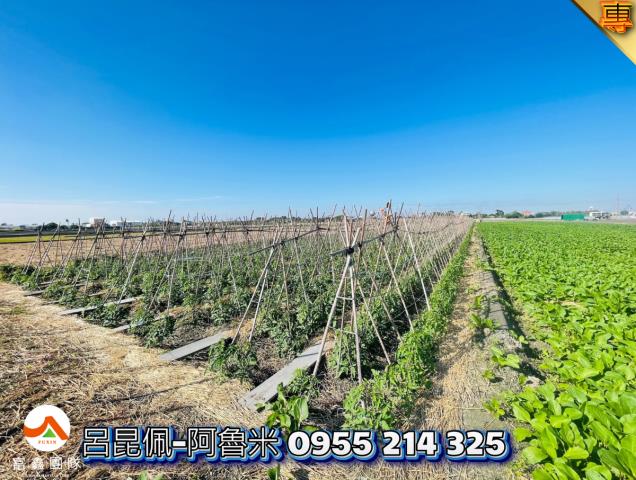 雲林西螺農地-7