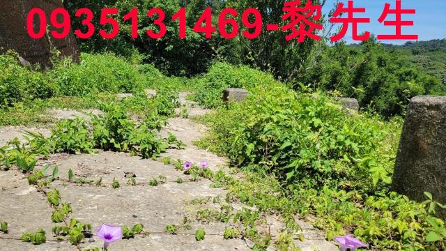 芎林農地-7