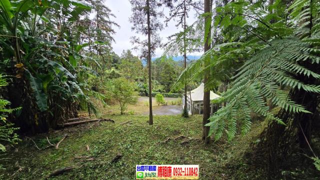 竹東農地-4