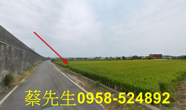 後龍法拍農地-5