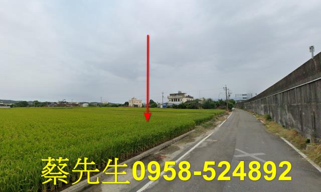 後龍法拍農地-6