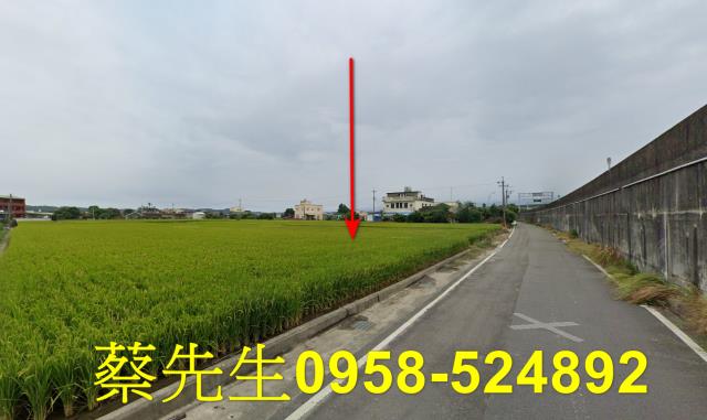 後龍法拍農地-7