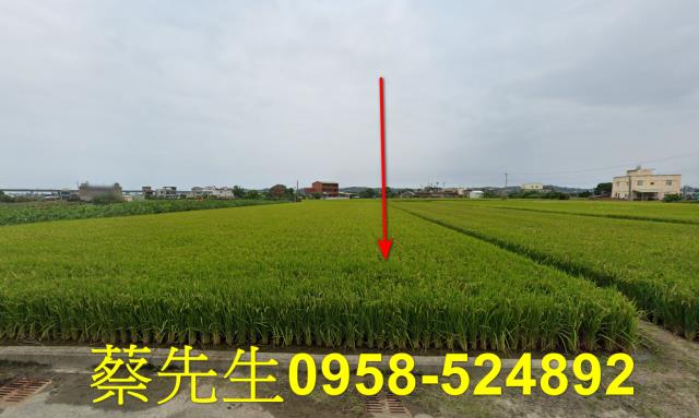 後龍法拍農地-9