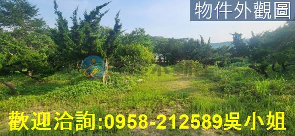 湖口農地-2