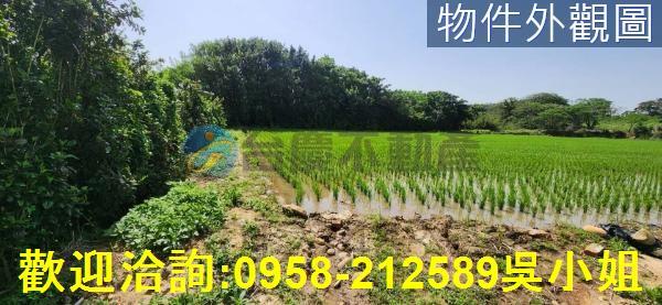 新竹農地-4