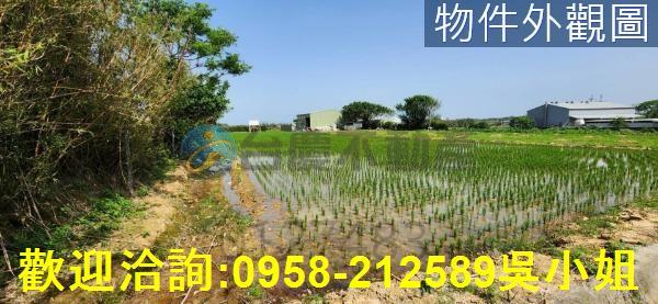 新竹農地-5