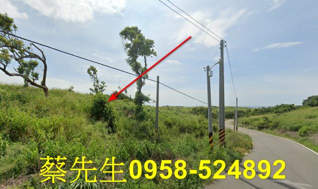 苗栗後龍法拍農地-12