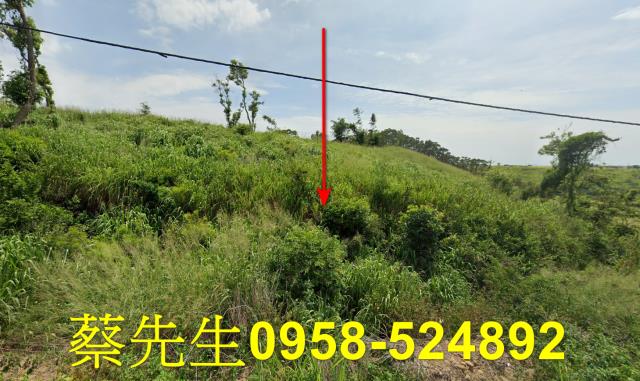 苗栗後龍法拍農地-1