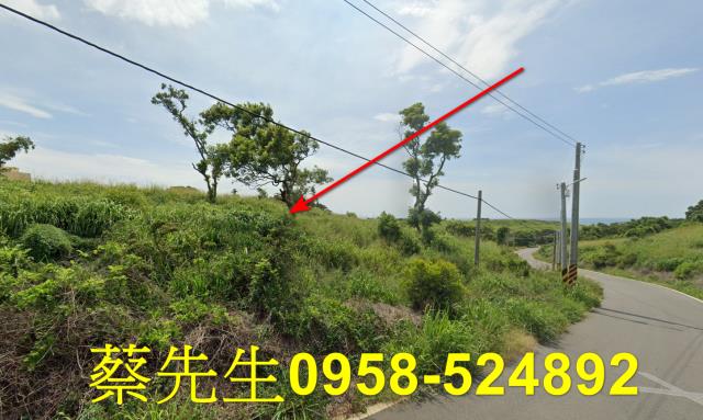 苗栗後龍法拍農地-5