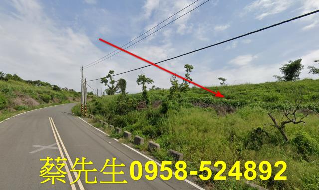 苗栗後龍法拍農地-6