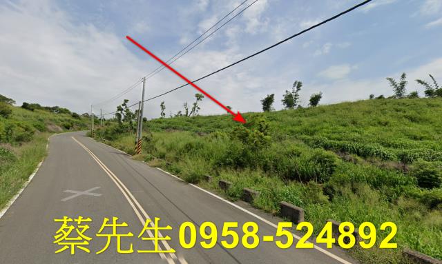苗栗後龍法拍農地-7