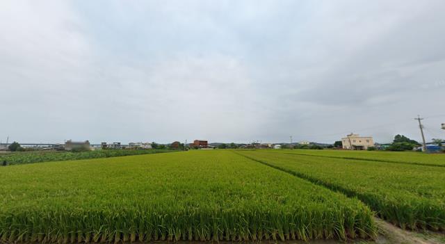 苗栗後龍農地拍賣-13