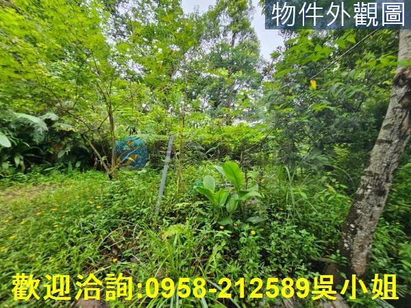 南庄山坡地-1