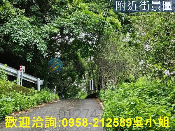 南庄山坡地-8