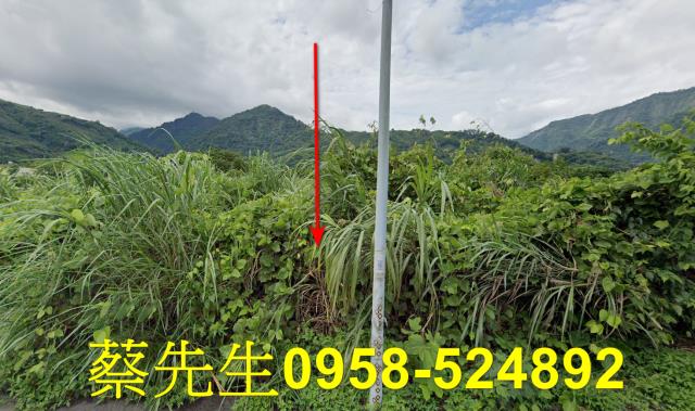 泰安農地法拍-1