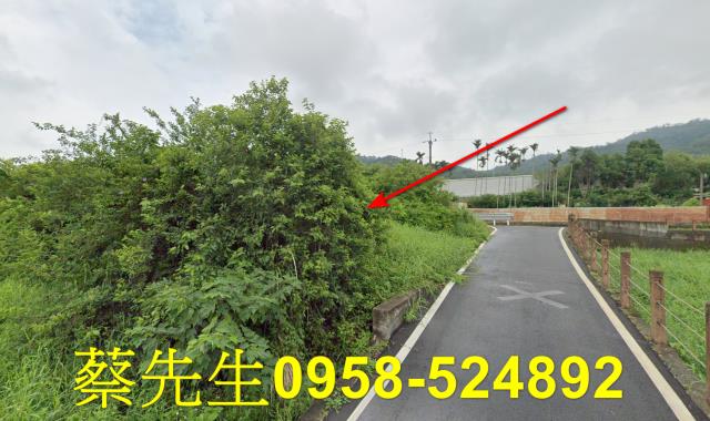 銅鑼法拍農地-14