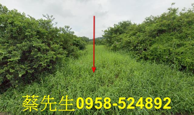 銅鑼法拍農地-1