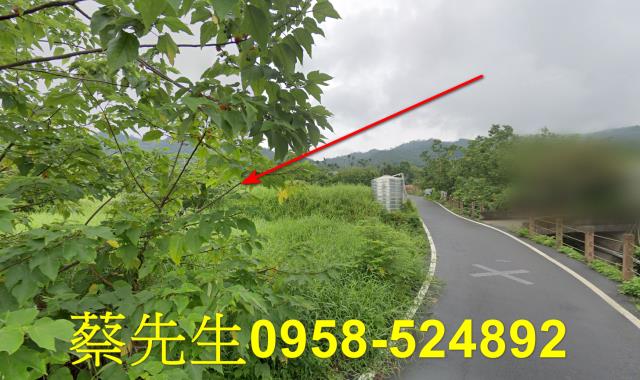 銅鑼農地法拍-7