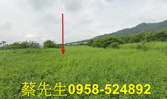 銅鑼農地法拍-9