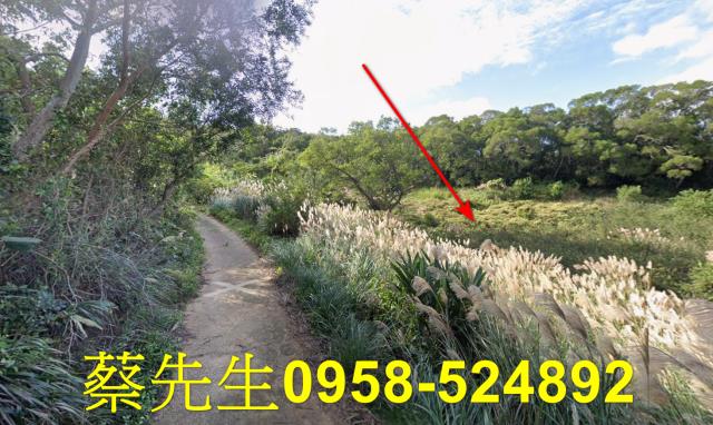 苗栗市農地拍賣-12