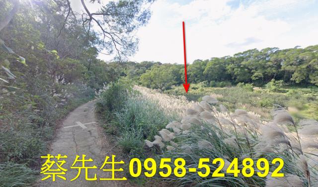 苗栗市農地拍賣-13