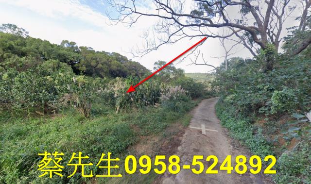 苗栗市農地拍賣-14
