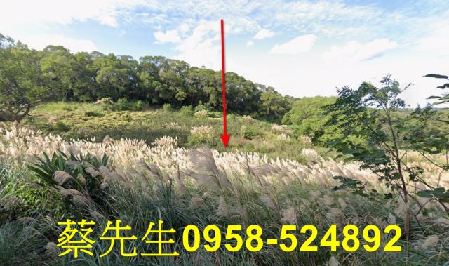 苗栗市農地拍賣-1