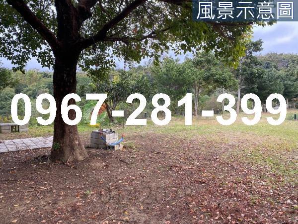 頭份農地-9