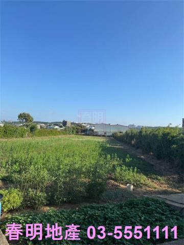 新豐農地-4