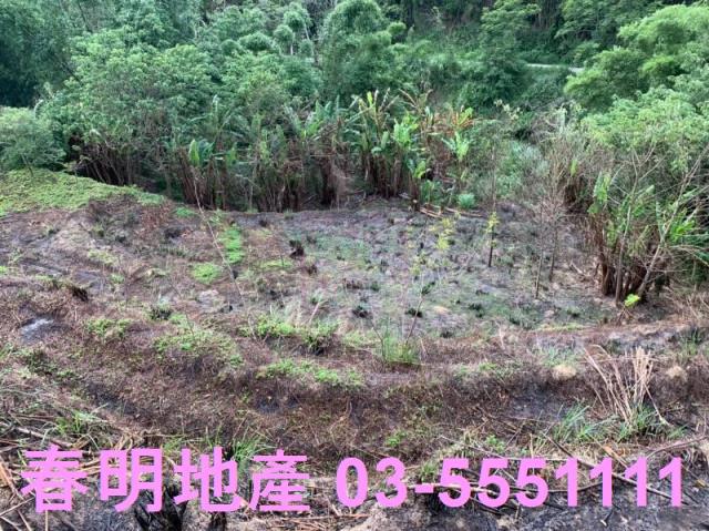 峨眉農地-12