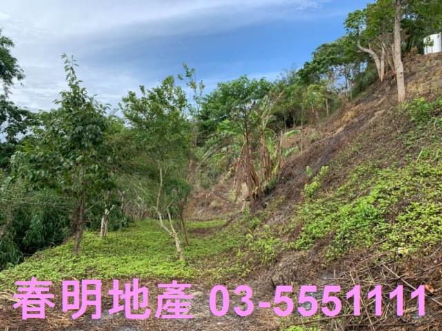 峨眉農地-8