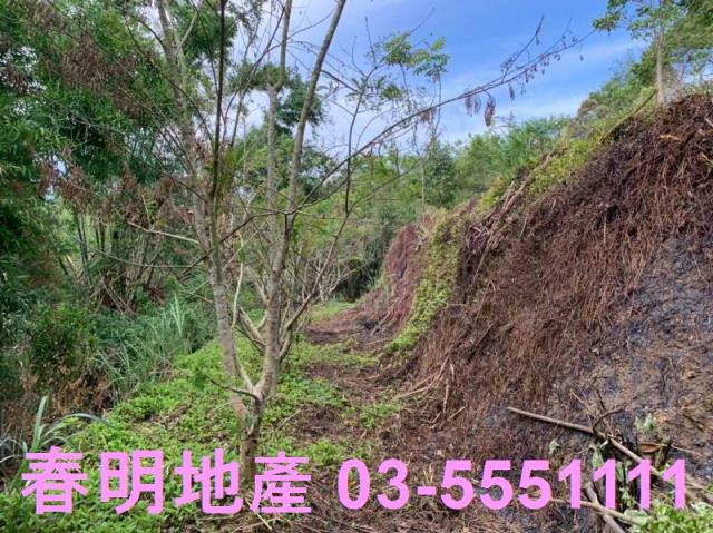 峨眉農地-9